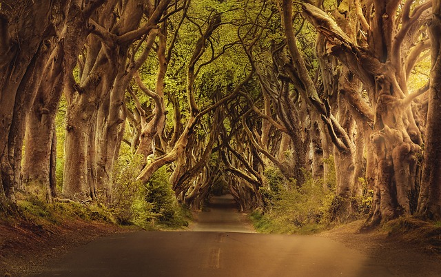 Como Games of Thrones ha enseñado indirectamente a manejar una empresa