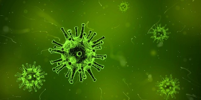 CDC: Lo que necesita saber sobre la enfermedad del coronavirus 2019(COVID-19)