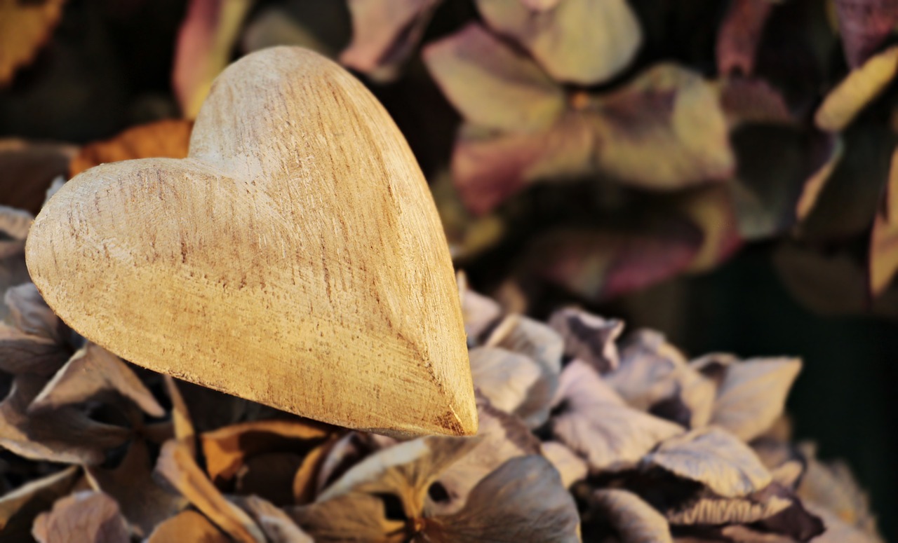 El Corazón que No Conoce Límites: Una Historia de Amor Inquebrantable